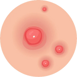 an image