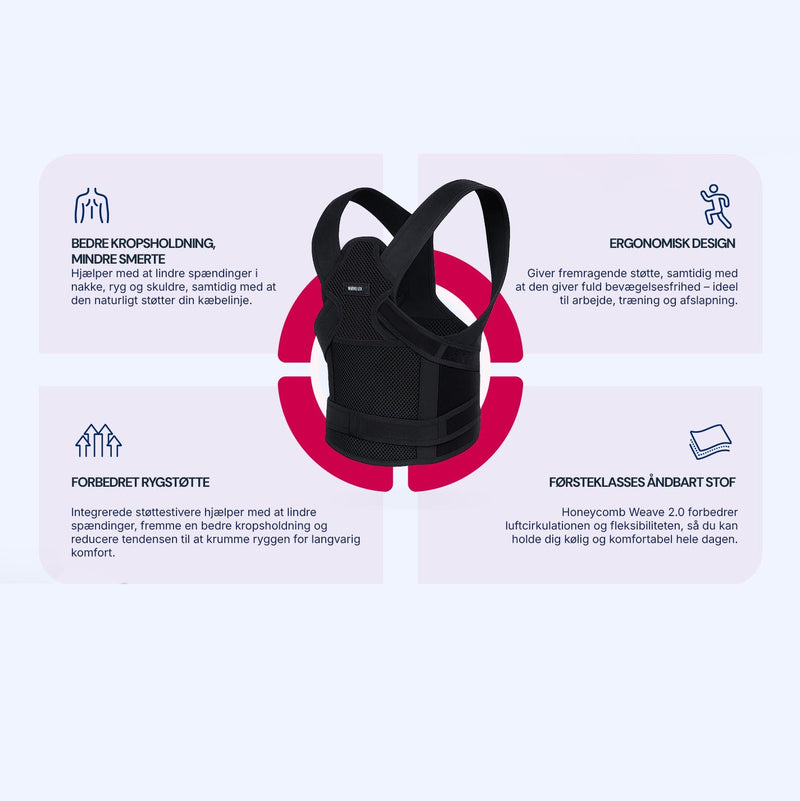 Rygstøtte Elite+ 2.0