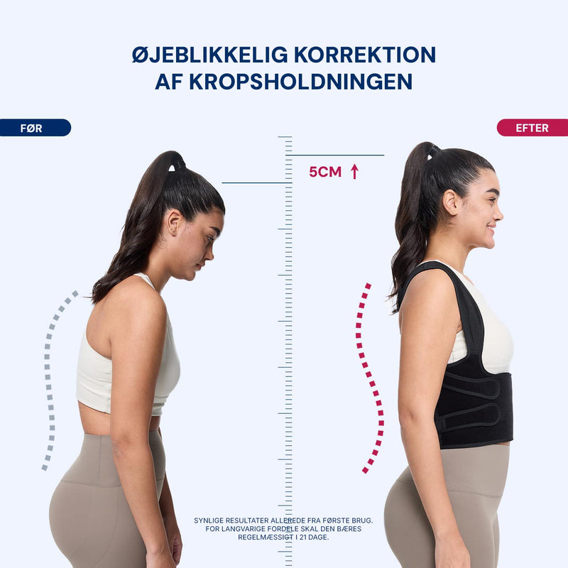 Rygstøtte Elite+ 2.0