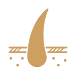 an image
