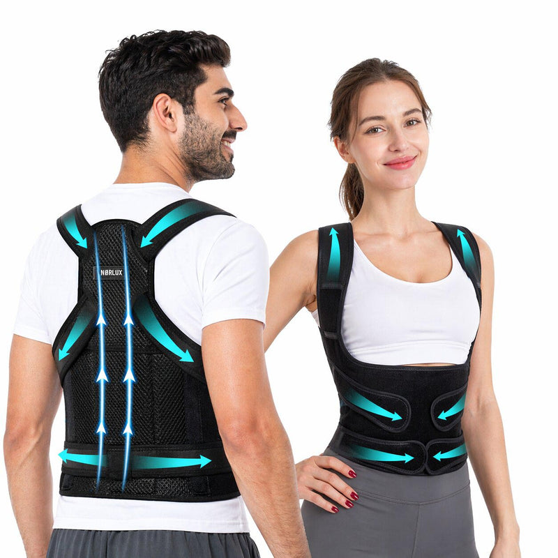 Rygstøtte Elite+ 2.0
